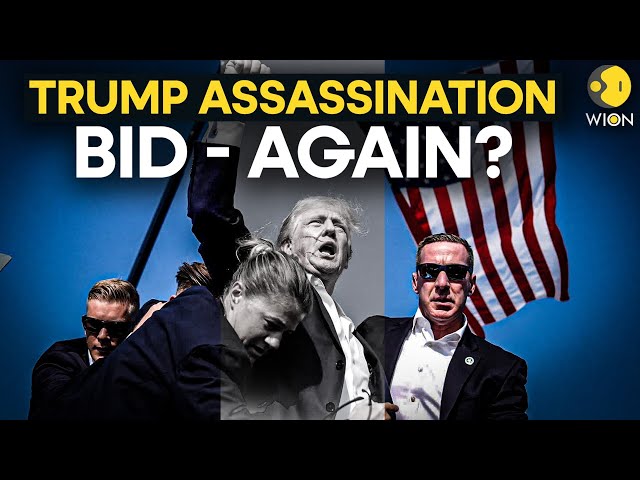 ⁣Trump assassination attempt live: Who is plotting to assassinate Trump before the U.S. elections?