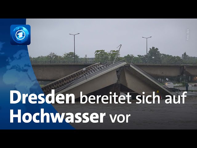 ⁣Nach Einsturz der Carolabrücke: Dresden bereitet sich auf Hochwasser vor