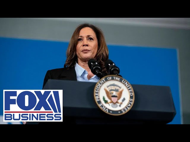 ⁣'DISASTROUS': Market expert sounds the alarm on Kamala Harris' tax plan