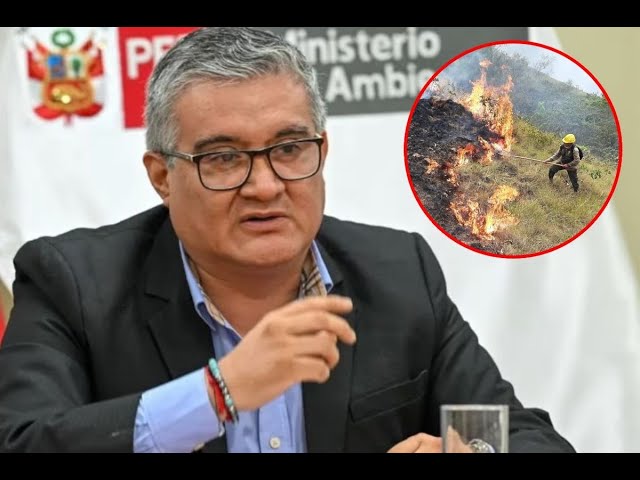 ⁣Ministro de Ambiente sobre incendios forestales: "Todos los focos han sido provocados por el ho