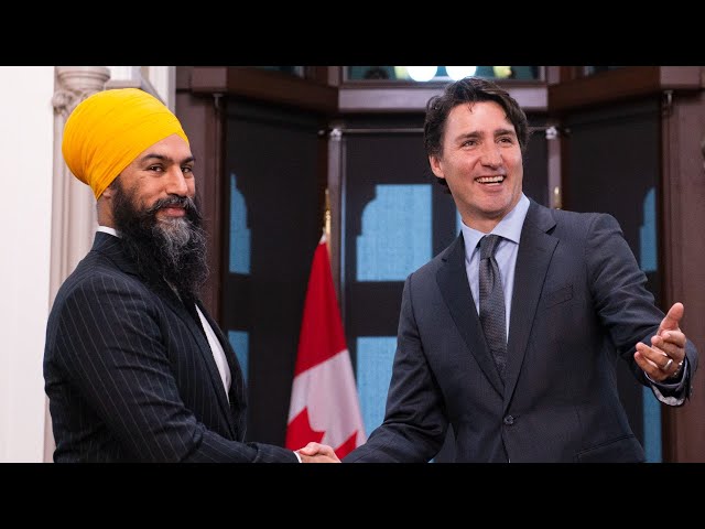 ⁣New minority government dynamic heading into fall session | CANADIAN POLITICS