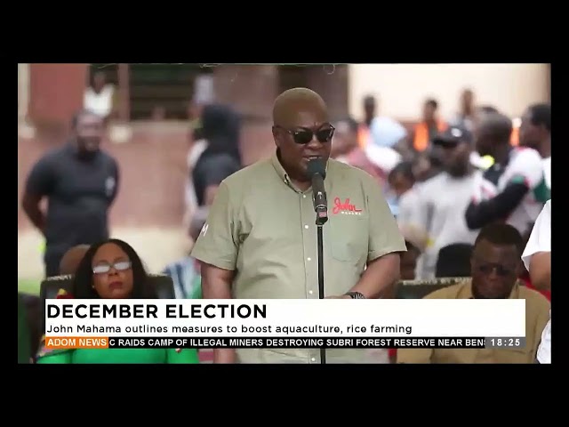 ⁣John Mahama outlines measures to boost aquaculture, rice farming- Adom TV Evening News (16-09-24)