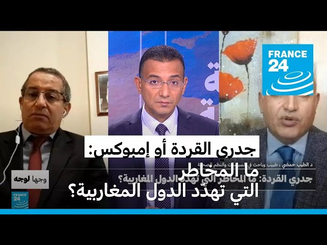 ⁣جدري القردة (إمبوكس): ما المخاطر التي تهدّد الدول المغاربية؟