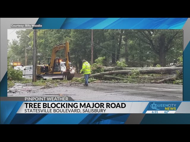 ⁣Fallen tree blocking highway in Salisbury