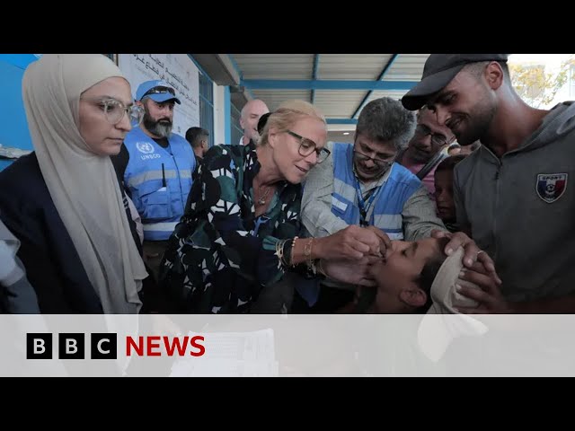 ⁣UN Gaza aid chief: World is failing innocent civilians | BBC News