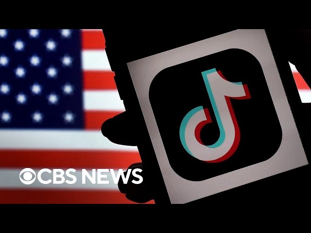 ⁣TikTok in court over U.S. ban: Breaking down the legal arguments