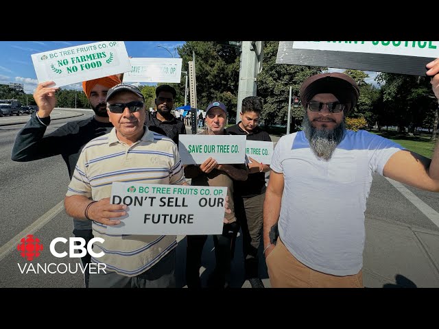 ⁣Okanagan farmers protest collapse of B.C. Tree Fruits co-operative