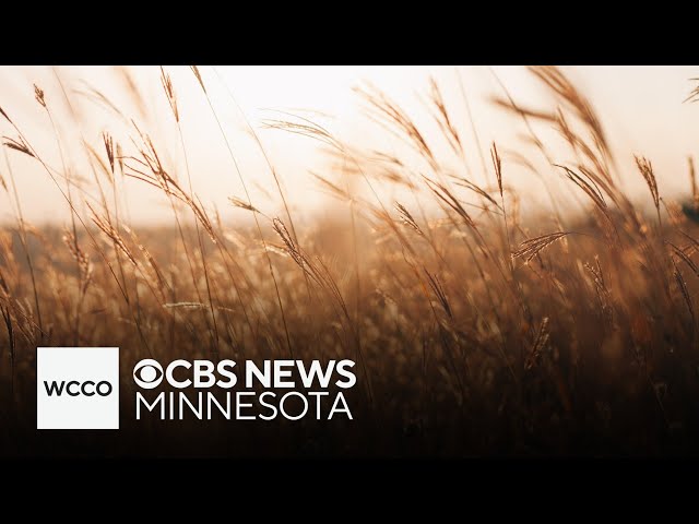 ⁣Nearly half of Minnesota is abnormally dry, but relief is in the forecast