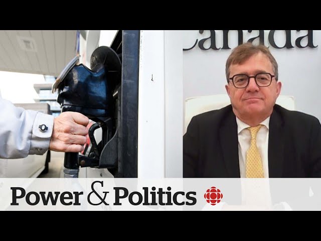 ⁣Poilievre’s carbon tax remarks ‘ridiculous and stupid’: energy minister | Power & Politics