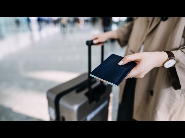 ⁣‘Out of control’: ‘Something needs to be done’ about the cost of domestic airfares