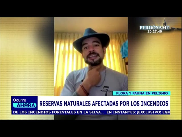 ¡Situación crítica! Reservas naturales en peligro por los incendios forestales