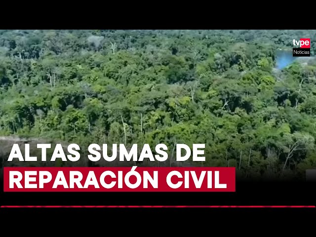 ⁣Quema de bosques puede sancionarse con 10 o 12 años de cárcel