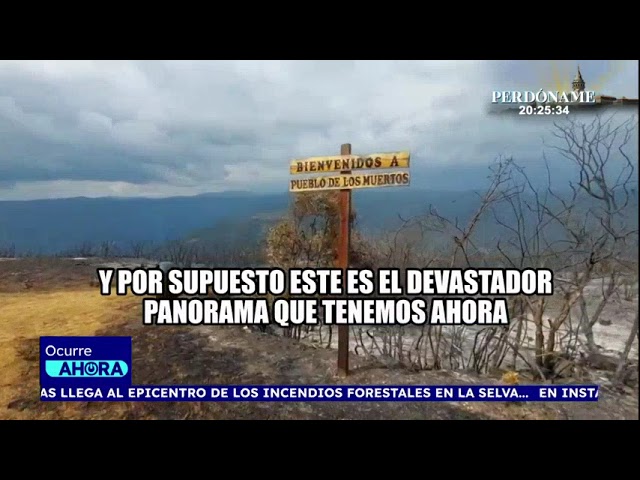 Periodista de ATV llegó al epicentro del incendio forestal en Amazonas