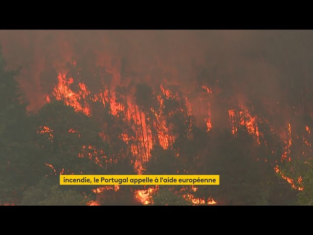 ⁣Incendies : le Portugal demande l’aide de l’Europe