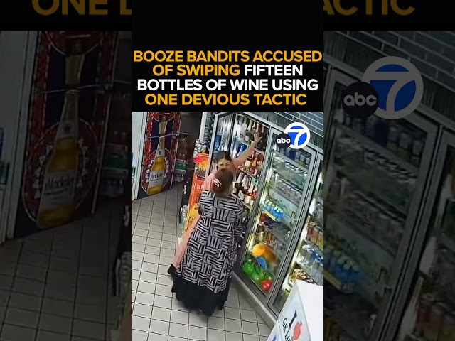 ⁣Kangaroo pouch in dress helps women steal wine from Upland store