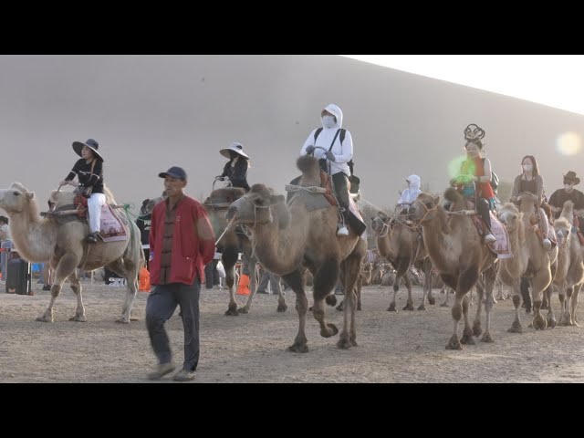 ⁣Cultural tourism in focus in NW China's Gansu Province