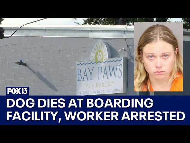 ⁣Pet resort worker arrested after dog dies