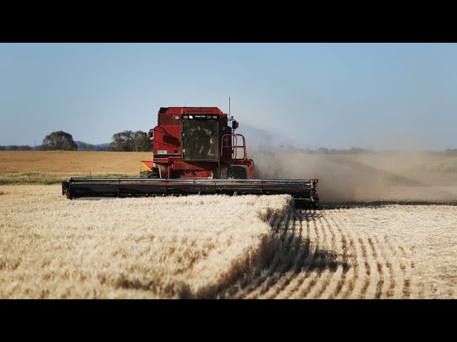 ⁣Farmer optimism fuelled by favourable conditions