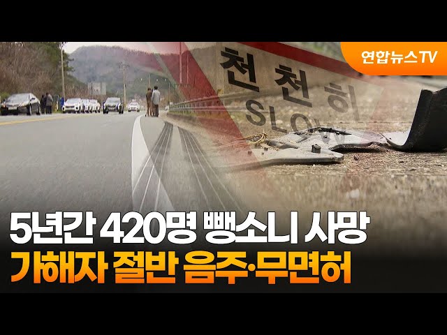 ⁣5년간 420명 뺑소니 사망…가해자 절반 음주·무면허 / 연합뉴스TV (YonhapnewsTV)