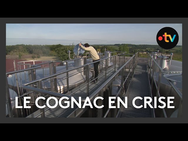 ⁣Cognac : la colère monte chez les viticulteurs