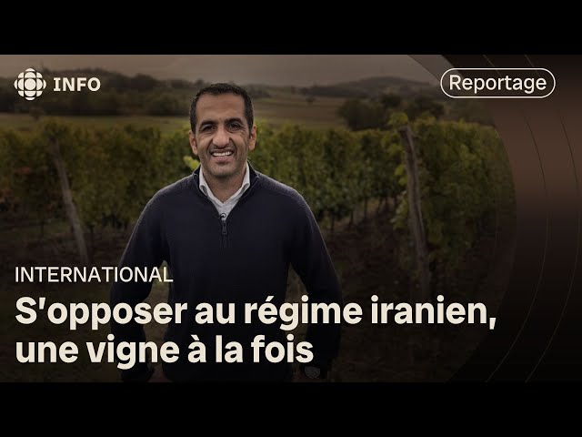 ⁣Le vin comme outil de résistance au régime iranien