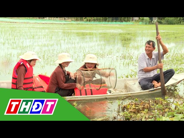 ⁣Làm du lịch sinh thái mùa nước nổi | THDT