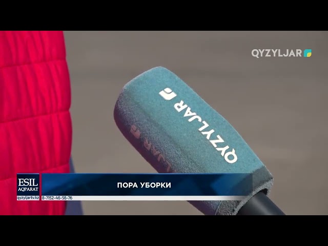 ⁣Пора уборки