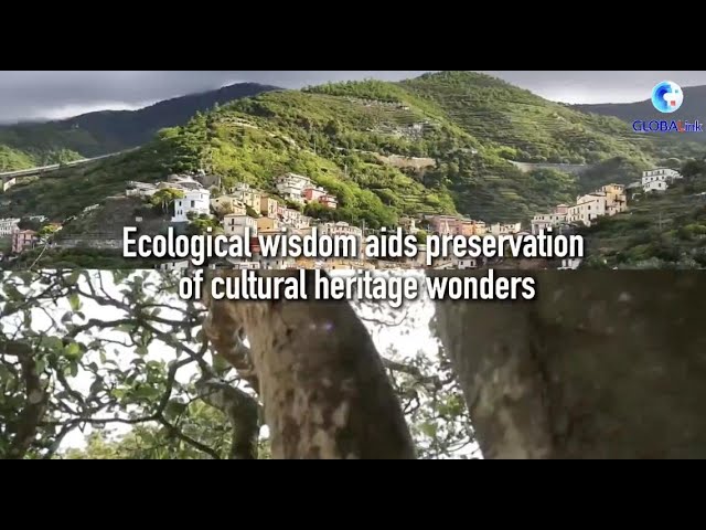 ⁣GLOBALink | Ecological wisdom aids preservation of cultural heritage wonders