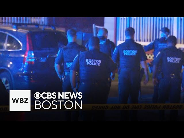 ⁣Mother and baby shot in Boston