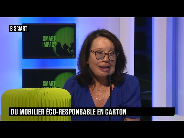 ⁣SMART IMPACT - Du mobilier éco-responsable en carton