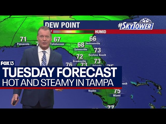 ⁣Tampa weather | hot and steamy with some storms