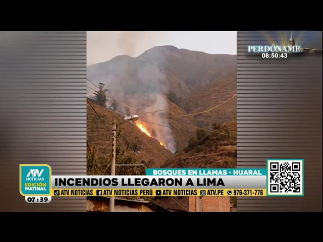 Bosques en llamas en Huaral alarman a todos los pobladores