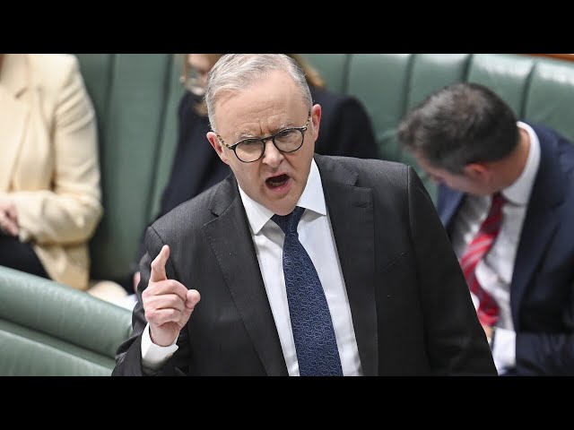 ⁣'Insanity on steroids’: Why Albanese's double dissolution threat is just ‘ludicrous’