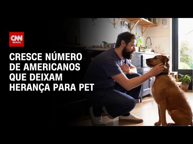 ⁣Cresce número de americanos que deixam herança para pet | LIVE CNN