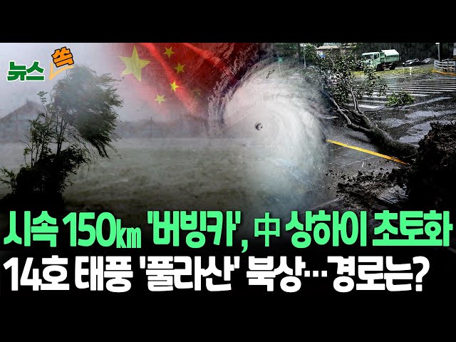 ⁣[뉴스쏙] "나무 1만그루 뽑혀"…중국 상하이 할퀸 최강 태풍 '버빙카'ㅣ14호 태풍 '풀리산' 북상에 또 긴장 / 연합뉴스T