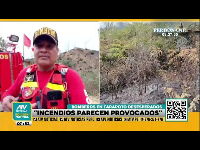 ⁣Bombero preocupado tras atender incendio forestal: "Parecen provocados"