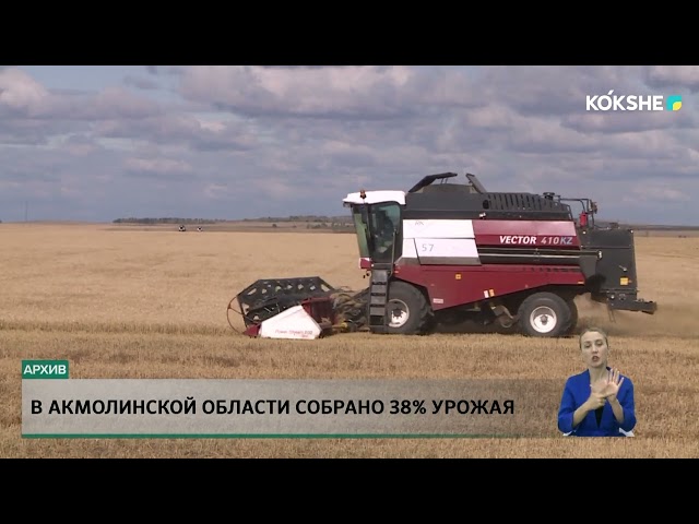 ⁣В Акмолинской области собрано 38% урожая