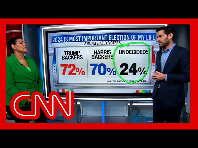 ⁣New poll shows how many undecided Harris-Trump voters remain