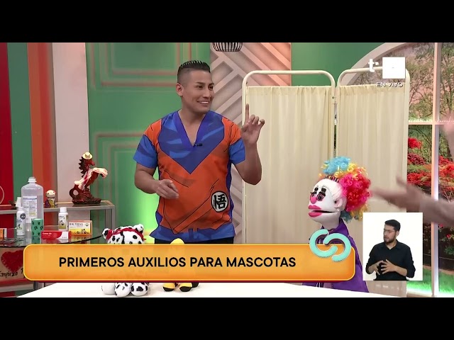 ⁣Aprende lo más importante de los primeros auxilios para mascotas