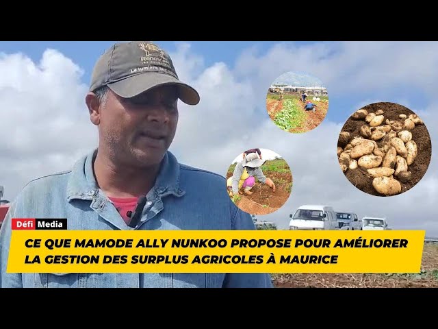 ⁣Ce que Mamode Ally Nunkoo propose pour améliorer la gestion des surplus agricoles à Maurice