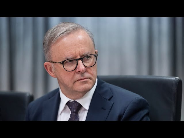 ⁣Anthony Albanese defends Labor’s policies after big business criticism