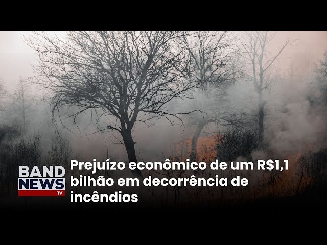 ⁣Prejuízos com queimadas aumentam 33 vezes em 2024 | BandNewsTV