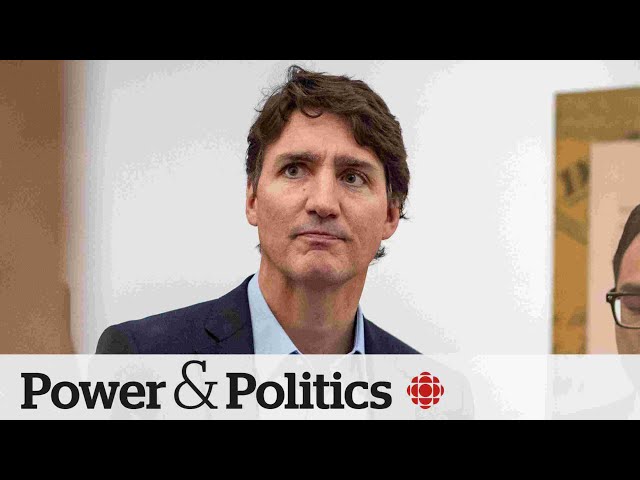 ⁣Liberals ‘quite disappointed’ by byelection loss to Bloc Québécois: Duclos | Power & Politics