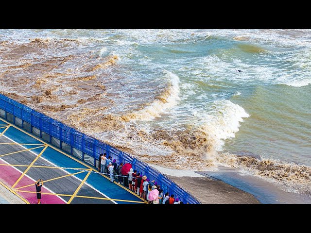 ⁣Live: View the world's largest tidal bore in east China's Zhejiang