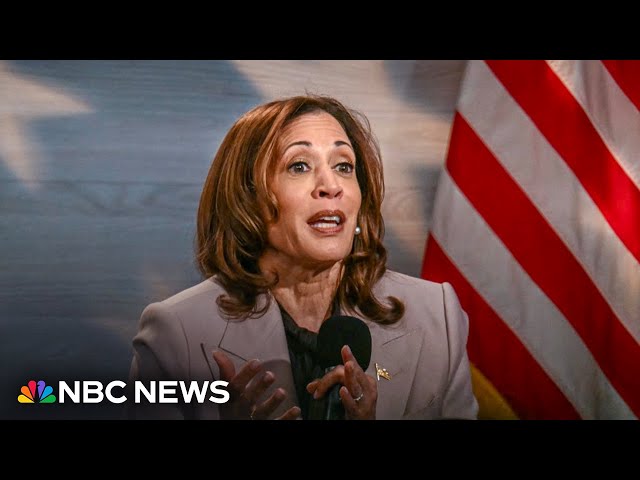 ⁣Harris talks economy, Trump comments about immigrants in Ohio in NABJ event