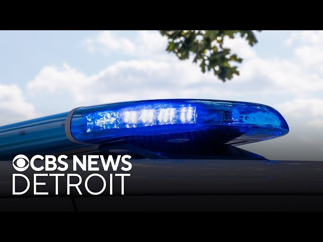 ⁣Teen charged after gun found in Michigan school