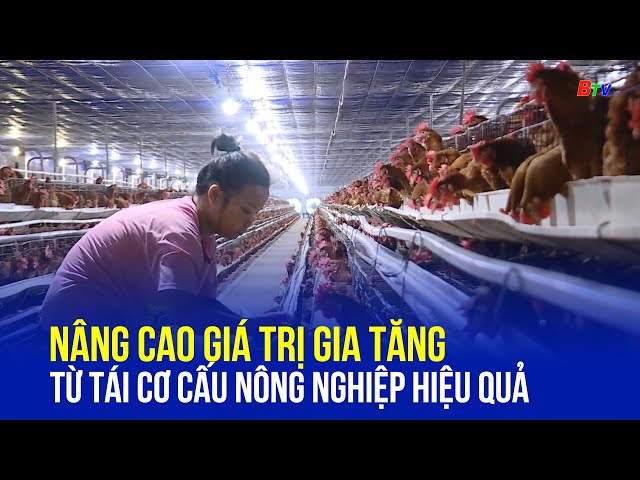 ⁣Nâng cao giá trị gia tăng từ tái cơ cấu nông nghiệp hiệu quả