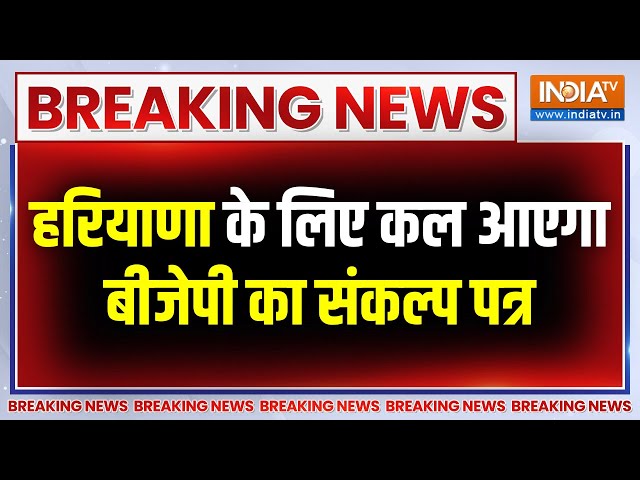 ⁣Breaking News: हरियाणा के लिए कल आएगा बीजेपी का संकल्प पत्र | JP Nadda | Haryana Election 2024