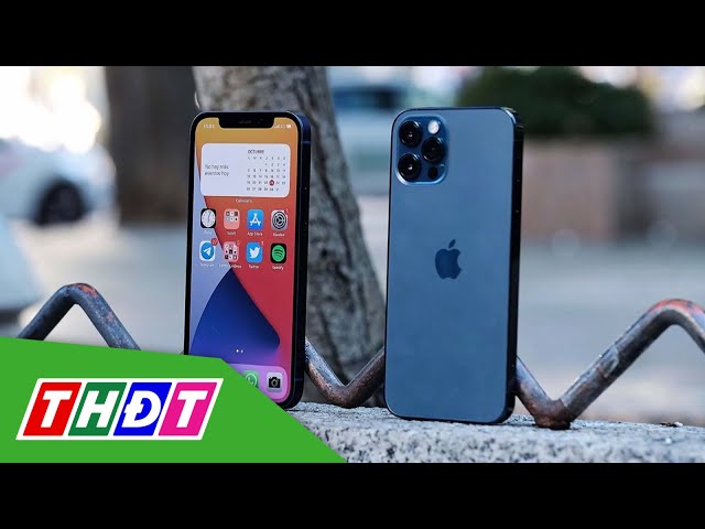 ⁣Giá hàng loạt mẫu iPhone đời cũ giảm cả chục triệu đồng | THDT