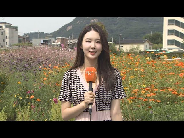 ⁣[날씨] 연휴 마지막 날 여전한 폭염…귀경길 안전운전 유의 / 연합뉴스TV (YonhapnewsTV)